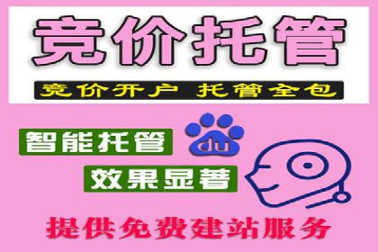 SEM托管与广告投放的完美结合——案例分享